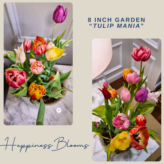 The Best Gift for Flower Lovers? Living Flowers That Grow at Home!